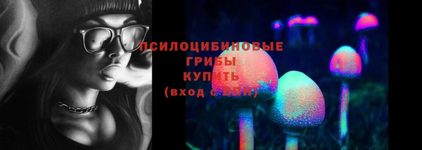 эйфоретик Абинск