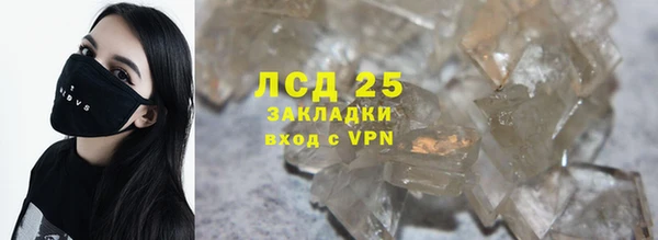 сатива Алзамай