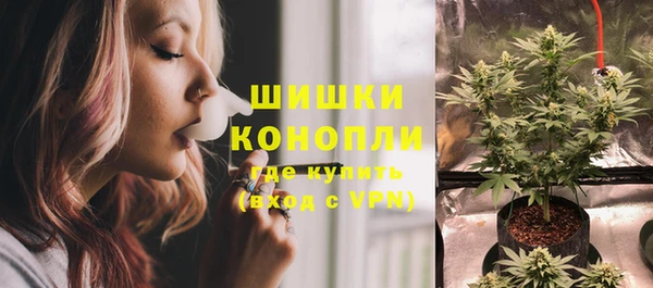 индика Покачи